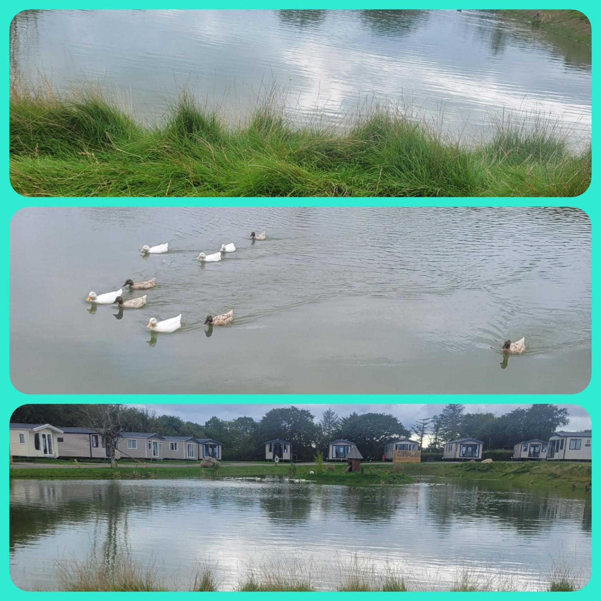 Beautiful 2 Bedroom Caravan, Holiday Park Tenby Saint Florence Eksteriør billede